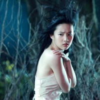 Review: A Chinese Ghost Story (2011)